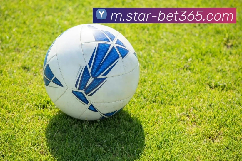 bet365平台生态图